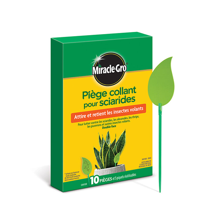 Miracle-Gro® Sticky Gnat Trap image number null